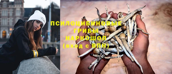героин Алзамай