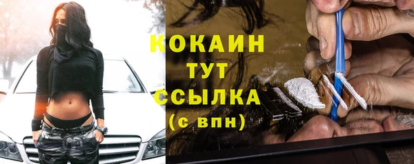 твердый Алексин