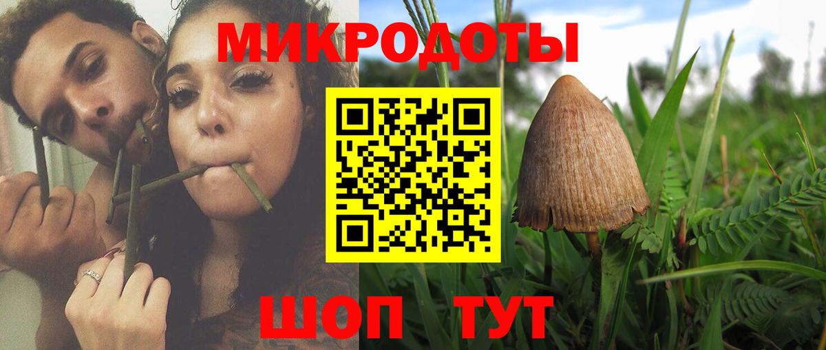 Псилоцибиновые грибы Magic Shrooms  Псилоцибиновые грибы мицелий  Вход с VPN  Балашов 